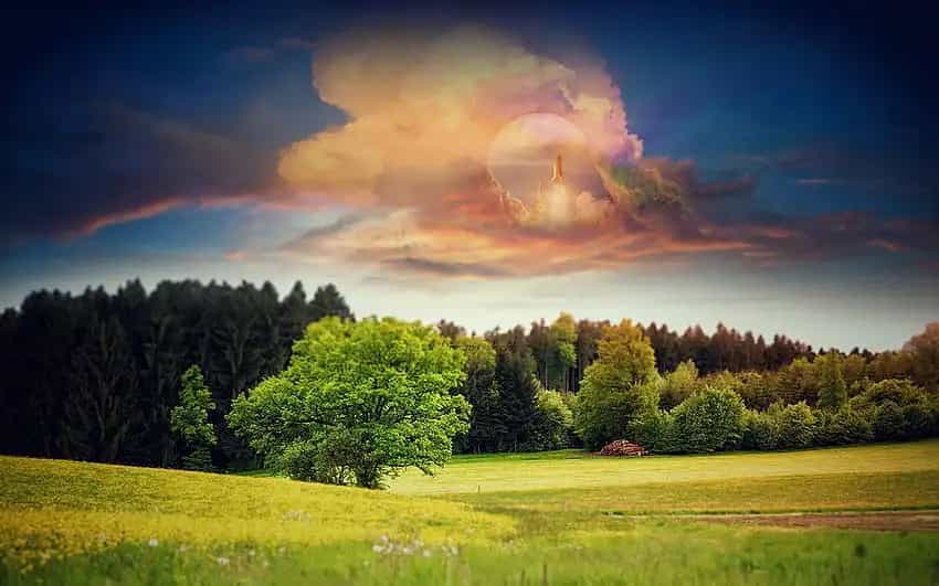 a dreamy tree in a fantasy world